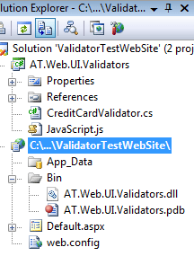 Creating a test website with Visual Studio 2008